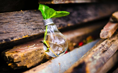 农家乐行业品牌战略规划怎么做